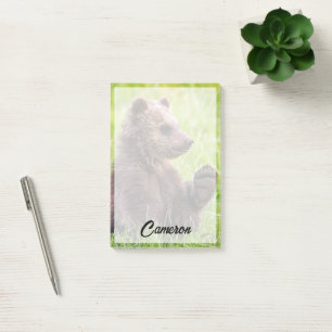 Cutest Baby Animals Brown Bear Cub Wave Post-it Notes
