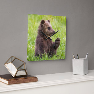 Cutest Baby Animals Brown Bear Cub Wave Square Wall Clock