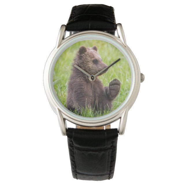 Cutest Baby Animals | Brown Bear Cub Wave Watch (Front)