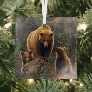 Cutest Baby Animals Brown Bear Family Glass Ornament