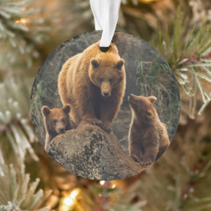 Cutest Baby Animals   Brown Bear Family Ornament