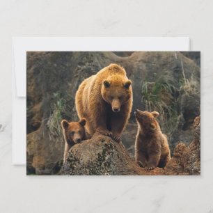 Cutest Baby Animals Brown Bear Family Thank You Card