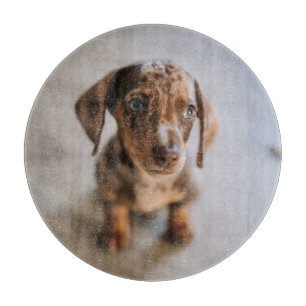 Cutest Baby Animals Brown Dachshund Puppy Cutting Board
