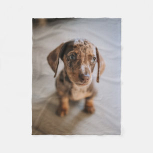 Cutest Baby Animals Brown Dachshund Puppy Fleece Blanket
