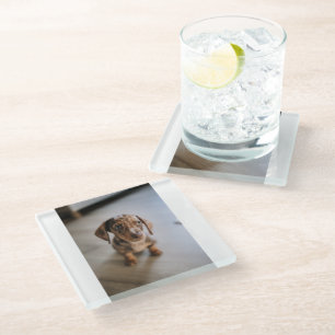 Cutest Baby Animals Brown Dachshund Puppy Glass Coaster