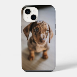 Cutest Baby Animals Brown Dachshund Puppy iPhone 14 Case
