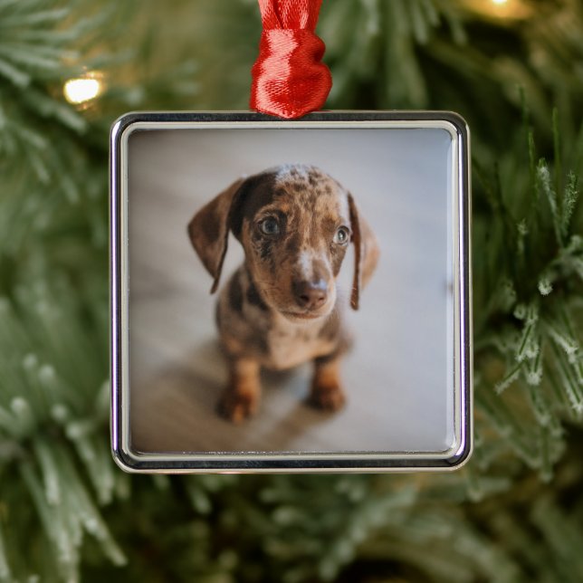Cutest Baby Animals | Brown Dachshund Puppy Metal Ornament (Tree)