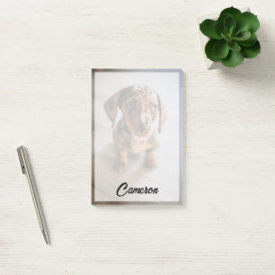 Cutest Baby Animals   Brown Dachshund Puppy Post-it Notes