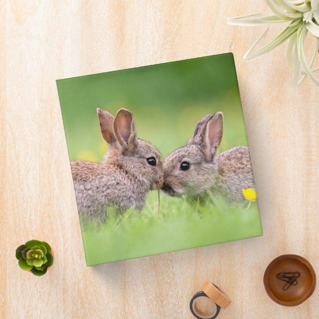 Cutest Baby Animals | Bunny Kiss Binder (In Situ)