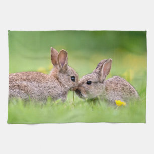 Cutest Baby Animals   Bunny Kiss Kitchen Towel