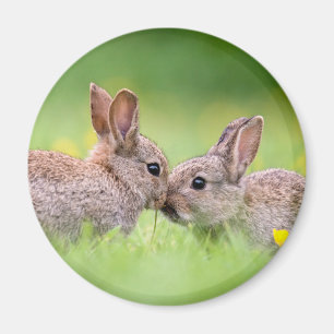 Cutest Baby Animals Bunny Kiss Magnet
