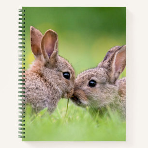 Cutest Baby Animals   Bunny Kiss Notebook