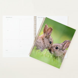 Cutest Baby Animals   Bunny Kiss Planner