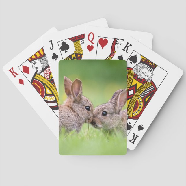 Cutest Baby Animals | Bunny Kiss Playing Cards (Back)