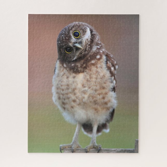 Cutest Baby Animals | Burrowing Owl Owlet Jigsaw Puzzle (Vertical)