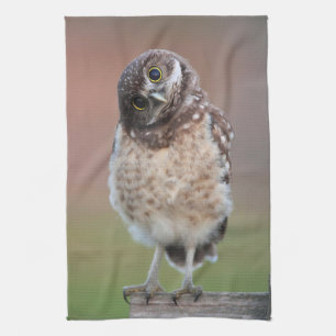 Cutest Baby Animals Burrowing Owl Owlet Kitchen Towel