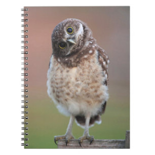 Cutest Baby Animals Burrowing Owl Owlet Notebook