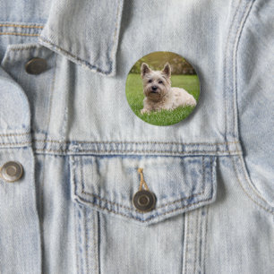 Cutest Baby Animals Cairn Terrier Dog 2 Inch Round Button