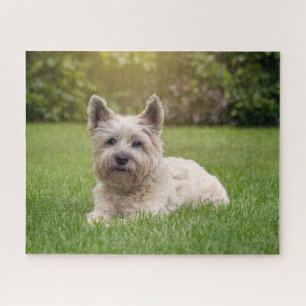 Cutest Baby Animals   Cairn Terrier Dog Jigsaw Puzzle