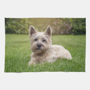 Cutest Baby Animals Cairn Terrier Dog Kitchen Towel