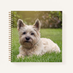 Cutest Baby Animals Cairn Terrier Dog Notebook