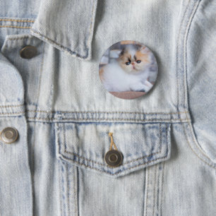 Cutest Baby Animals Calico Persian Kitten 2 Inch Round Button