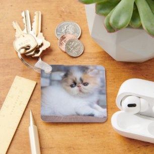 Cutest Baby Animals   Calico Persian Kitten Keychain
