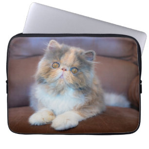 Cutest Baby Animals Calico Persian Kitten Laptop Sleeve