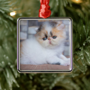 Cutest Baby Animals Calico Persian Kitten Metal Ornament