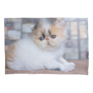 Cutest Baby Animals   Calico Persian Kitten Pillowcase