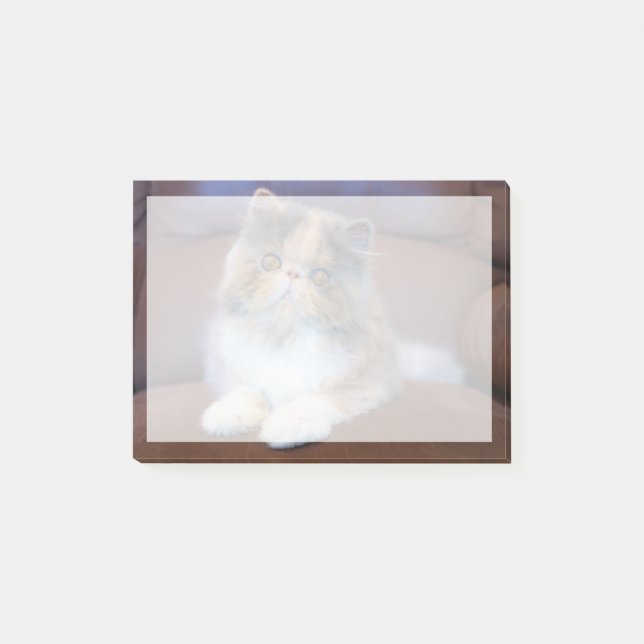 Cutest Baby Animals | Calico Persian Kitten Post-it Notes (Front)