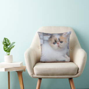 Cutest Baby Animals   Calico Persian Kitten Throw Pillow