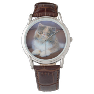 Cutest Baby Animals   Calico Persian Kitten Watch