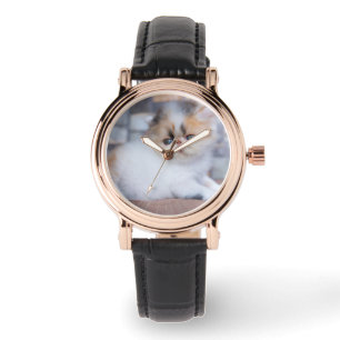 Cutest Baby Animals Calico Persian Kitten Watch