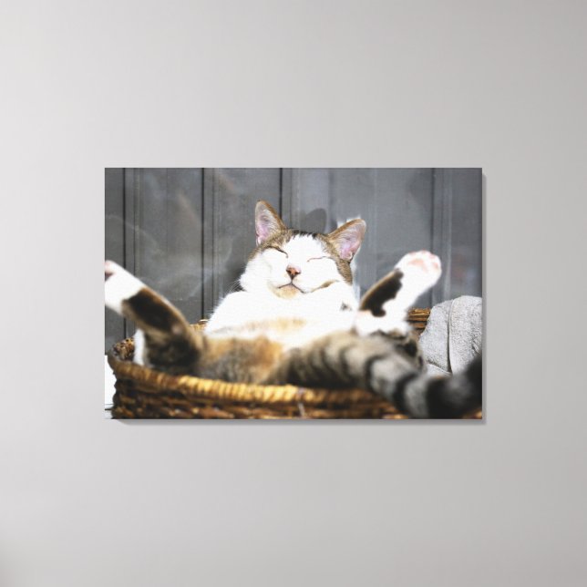 Cutest Baby Animals | Cat in Bed Canvas Print (Front)