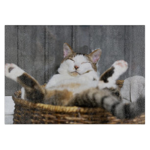 Cutest Baby Animals Cat in Bed Cutting Board