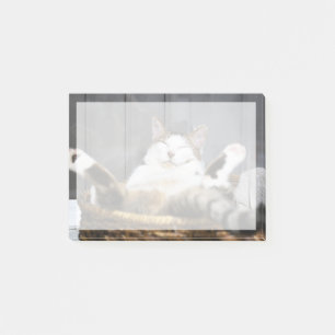 Cutest Baby Animals   Cat in Bed Post-it Notes