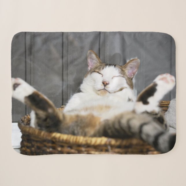 Cutest Baby Animals | Cat in Bed Sherpa Blanket (Front (Horizontal))