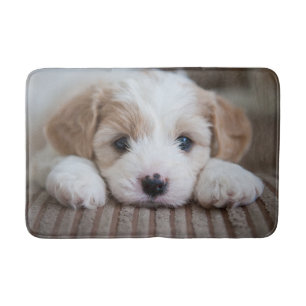Cutest Baby Animals   Cavashon Puppy Bath Mat