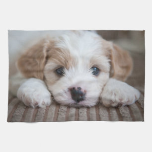 Cutest Baby Animals Cavashon Puppy Kitchen Towel