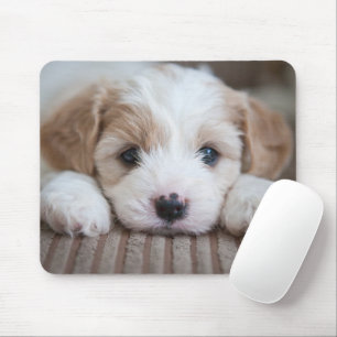 Cutest Baby Animals   Cavashon Puppy Mouse Pad