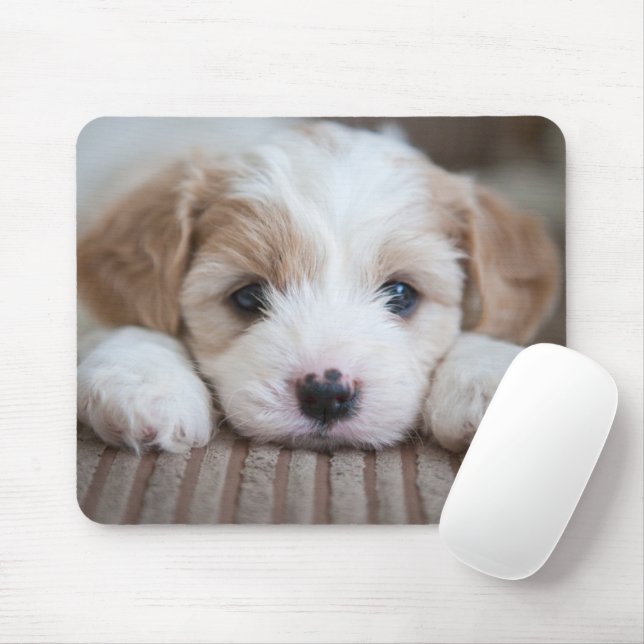 Cutest Baby Animals | Cavashon Puppy Mouse Pad (With Mouse)