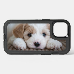 Cutest Baby Animals   Cavashon Puppy