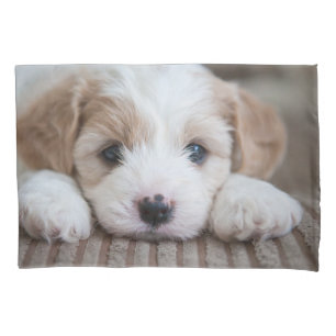 Cutest Baby Animals   Cavashon Puppy Pillowcase
