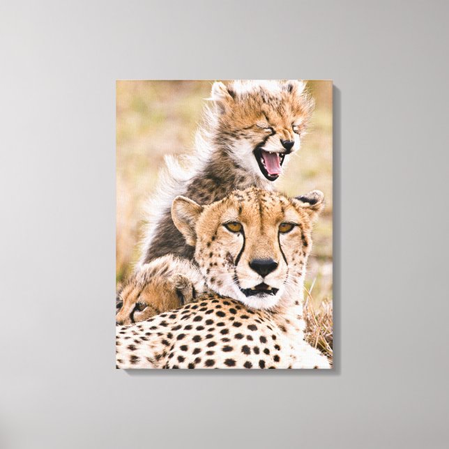 Cutest Baby Animals | Cheetah Cat & Cub Canvas Print (Front)