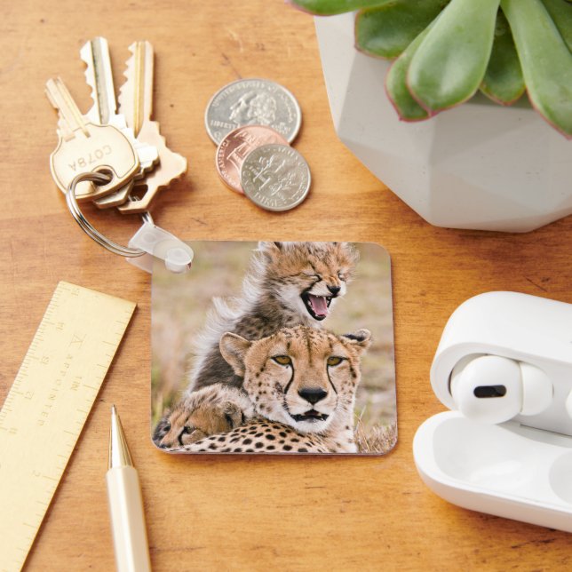 Cutest Baby Animals | Cheetah Cat & Cub Keychain (Desk)
