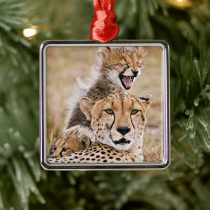Cutest Baby Animals Cheetah Cat & Cub Metal Ornament