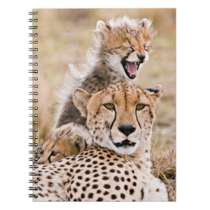 Cutest Baby Animals   Cheetah Cat & Cub Notebook