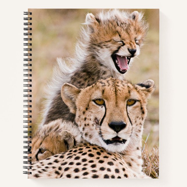 Cutest Baby Animals | Cheetah Cat & Cub Notebook (Front)