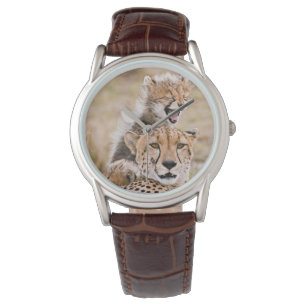 Cutest Baby Animals   Cheetah Cat & Cub Watch